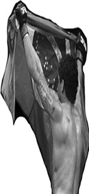 Brazilian Martial Arts Team