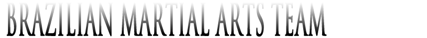 Brazilian Martial Arts Team - B.M.A.T